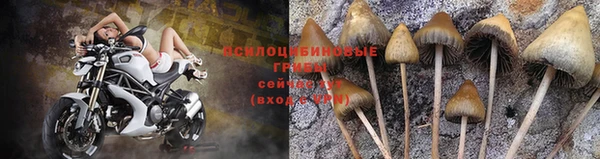 ешки Алзамай